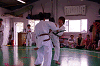 mi (115)_samu.gif